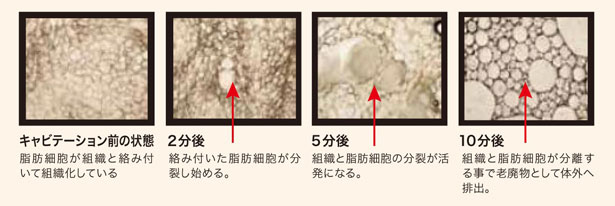 キャビテーション前の状態～10分後