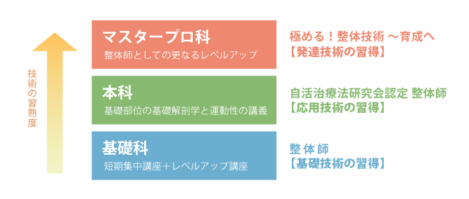 マスタープロ科・本科・基礎科